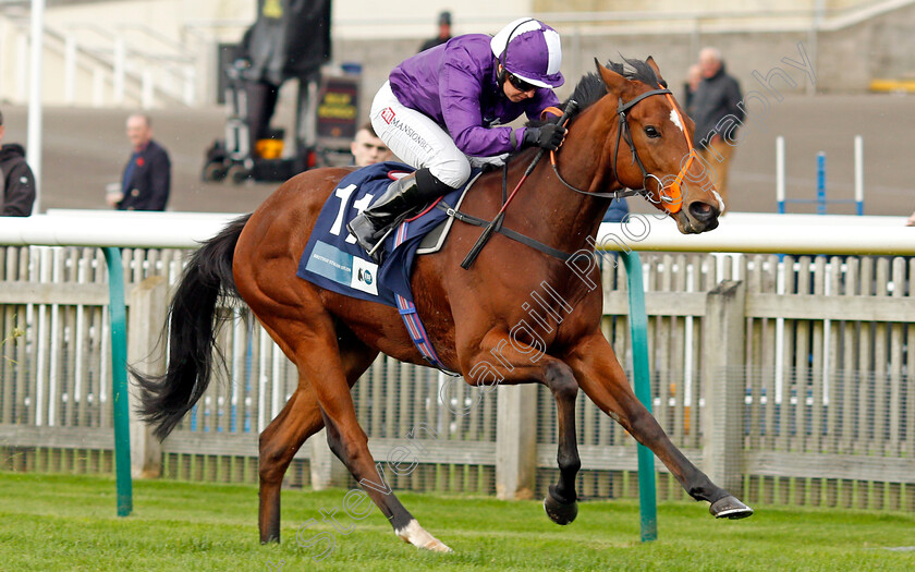 Symphony-Perfect-0006 
 SYMPHONY PERFECT (Hayley Turner) wins The Irish Stallion Farms EBF Bosra Sham Fillies Stakes
Newmarket 29 Oct 2021 - Pic Steven Cargill / Racingfotos.com