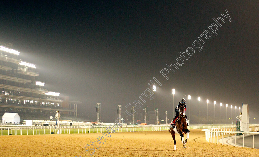 Life-Is-Good-0004 
 LIFE IS GOOD training for the Dubai World Cup
Meydan, Dubai, 23 Mar 2022 - Pic Steven Cargill / Racingfotos.com