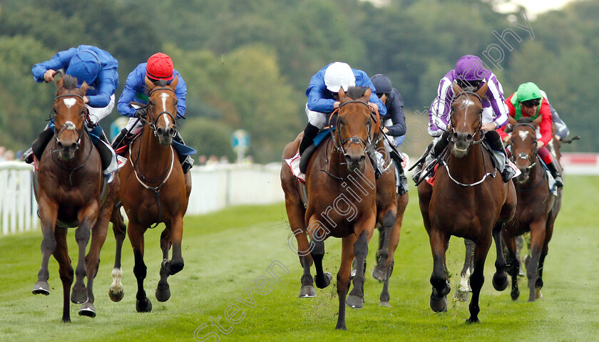 Old-Persian-0004 
 OLD PERSIAN (centre, James Doyle) beats CROSS COUNTER (left) and KEW GARDENS (right) in The Sky Bet Great Voltigeur Stakes
York 22 Aug 2018 - Pic Steven Cargill / Racingfotos.com