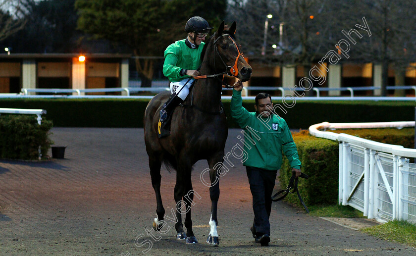 Mongolia-0001 
 MONGOLIA (Tom Marquand)
Kempton 23 Mar 2019 - Pic Steven Cargill / Racingfotos.com