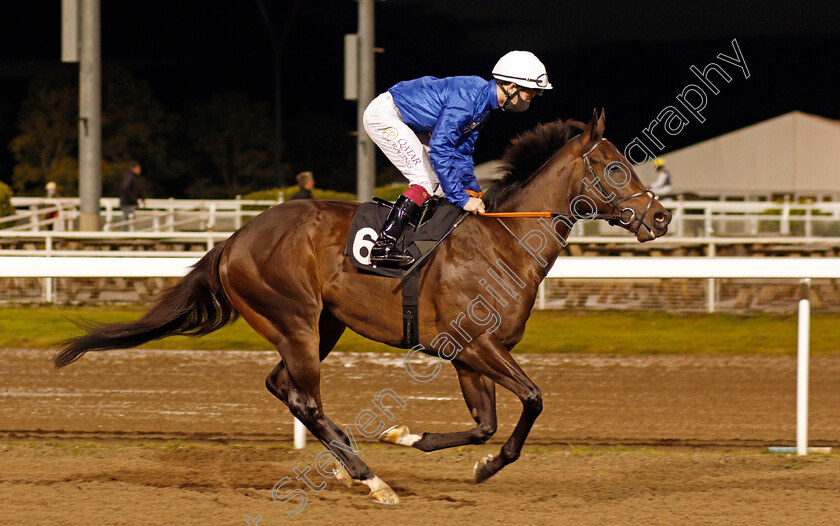 Frozen-Ocean-0001 
 FROZEN OCEAN (Oisin Murphy)
Chelmsford 15 Oct 2020 - Pic Steven Cargill / Racingfotos.com