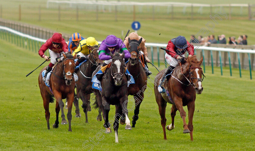 Ville-De-Grace-0002 
 VILLE DE GRACE (centre, Richard Kingscote) beats LILAC ROAD (right) in The Newmarket Pony Academy Pride Stakes
Newmarket 8 Oct 2021 - Pic Steven Cargill / Racingfotos.com