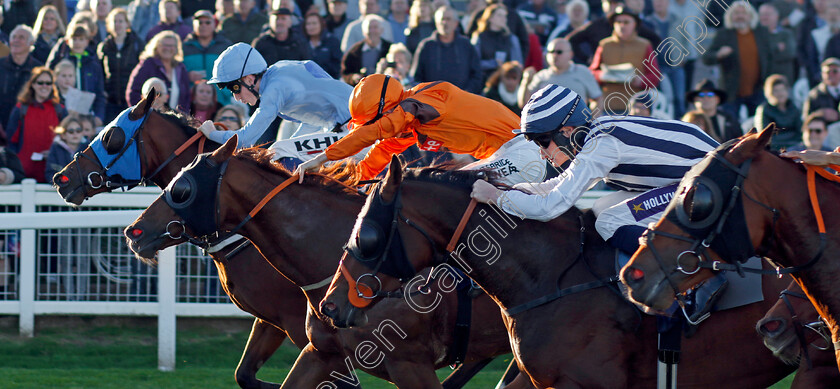 Jack-Ryan-0001 
 JACK RYAN (left, David Egan) beats PEACHEY CARNEHAN (2nd left) and MIMOSET (stripes) in The Seadell Shops And Holiday Chalets Handicap
Yarmouth 18 Oct 2022 - Pic Steven Cargill / Racingfotos.com