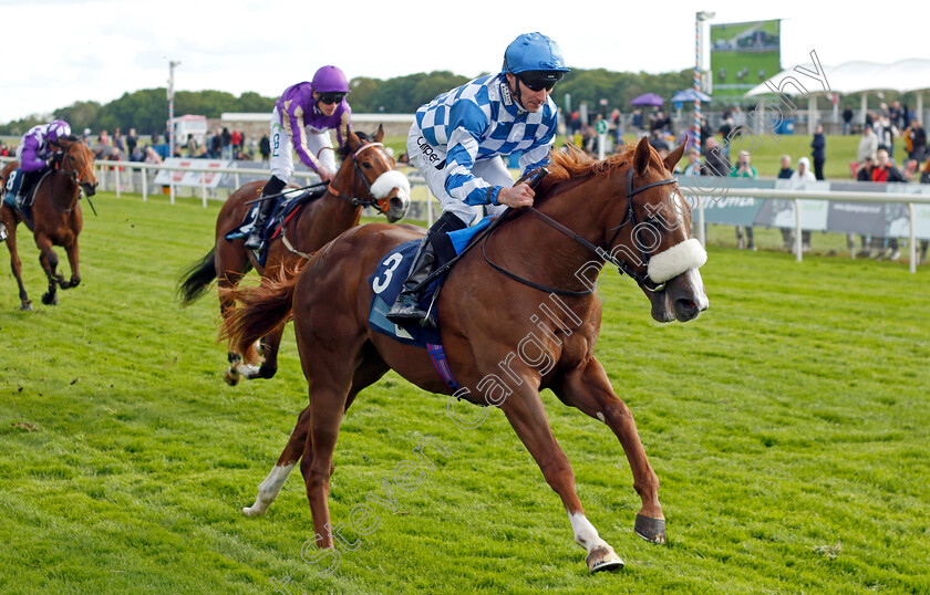 Thunder-Moor-0004 
 THUNDER MOOR (Daniel Tudhope) wins The British Stallion Studs EBF Novice Stakes
York 11 May 2022 - Pic Steven Cargill / Racingfotos.com