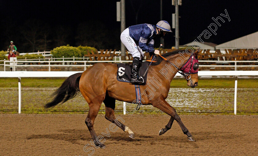 Little-Floozie-0001 
 LITTLE FLOOZIE (William Carson)
Chelmsford 14 Jan 2021 - Pic Steven Cargill / Racingfotos.com