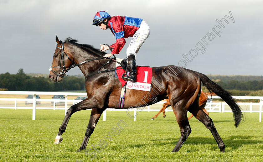 Caravan-Of-Hope-0002 
 CARAVAN OF HOPE (Ryan Moore) before The Veolia Novice Stakes
Ascot 4 Oct 2019 - Pic Steven Cargill / Racingfotos.com