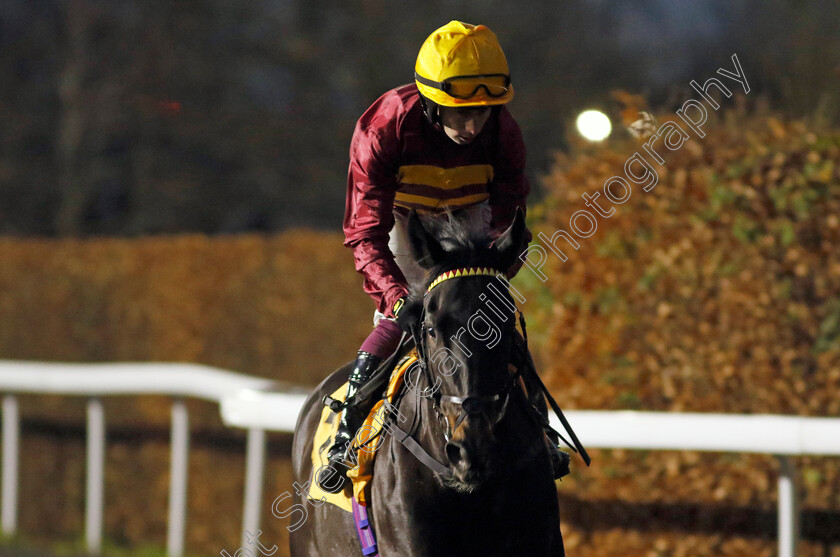 Sweet-Couture-0001 
 SWEET COUTURE (Oisin Murphy)
Kempton 11 Dec 2024 - Pic Steven Cargill / Racingfotos.com