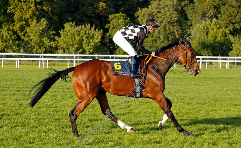 Ayani-0002 
 AYANI (Oliver Wilson)
Bro Park 17 Sep 2023 - Pic Steven Cargill / Racingfotos.com