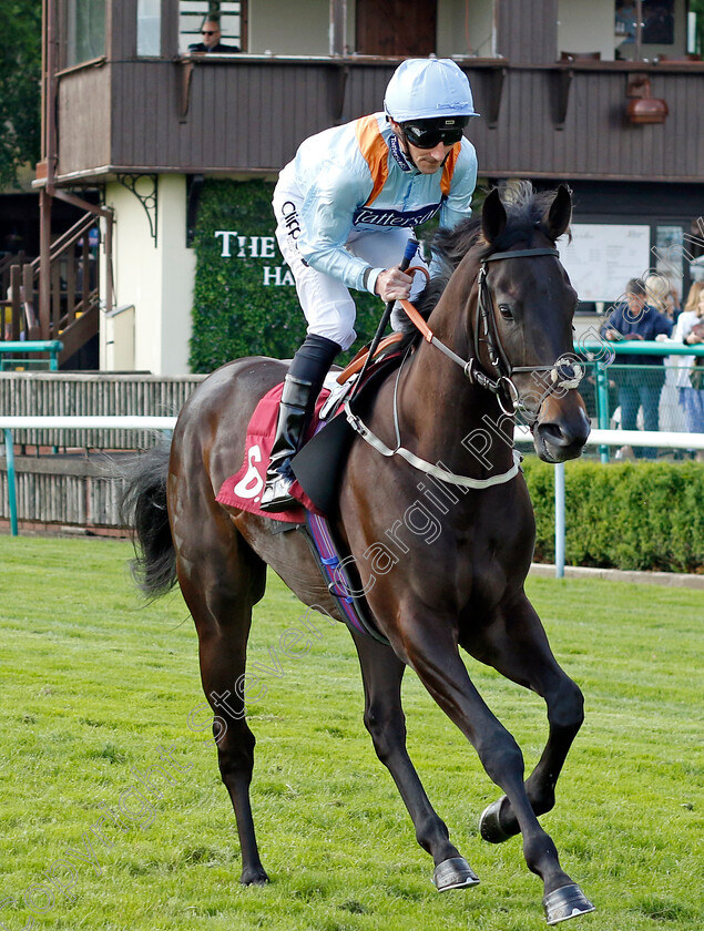 Pals-Battalion-0001 
 PALS BATTALION (Daniel Tudhope)
Haydock 25 May 2024 - Pic Steven cargill / Racingfotos.com