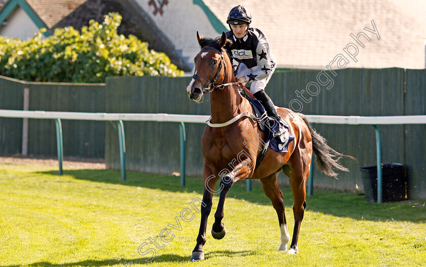 Sefton-Warrior-0001 
 SEFTON WARRIOR (Harry Bentley)
Yarmouth 18 Sep 2019 - Pic Steven Cargill / Racingfotos.com