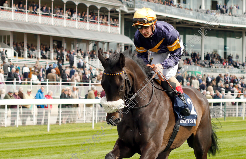 Dancing-Brave-Bear-0002 
 DANCING BRAVE BEAR (Andrea Atzeni)
York 16 May 2018 - Pic Steven Cargill / Racingfotos.com