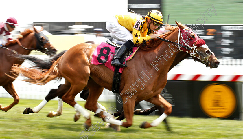 Family-Tree-0003 
 FAMILY TREE (Sheldon Russell) wins Optional Claimer
Pimlico, Baltimore USA, 17 May 2019 - Pic Steven Cargill / Racingfotos.com