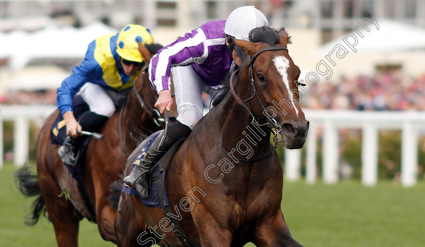 South-Pacific-0002 
 SOUTH PACIFIC (Seamie Heffernan) wins The King George V Stakes
Royal Ascot 20 Jun 2019 - Pic Steven Cargill / Racingfotos.com