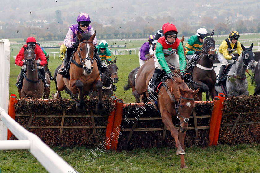 Quel-Destin-0001 
 QUEL DESTIN (right, Harry Cobden) with MOHAAYED (left)
Cheltenham 17 Nov 2019 - Pic Steven Cargill / Racingfotos.com