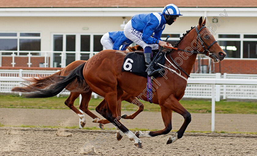 Qaader-0002 
 QAADER (Ben Curtis)
Chelmsford 1 Apr 2021 - Pic Steven Cargill / Racingfotos.com