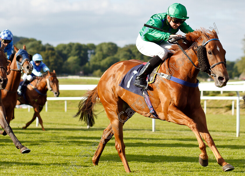 Castlerea-Tess-0003 
 CASTLEREA TESS (Rob Hornby) wins The comparebettingsites.com Best Betting Site Handicap
Chepstow 2 Jul 2019 - Pic Steven Cargill / Racingfotos.com