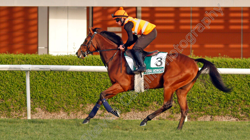 Dubai-Honour-0001 
 DUBAI HONOUR training for the Sheema Classic
Meydan, Dubai, 23 Mar 2022 - Pic Steven Cargill / Racingfotos.com