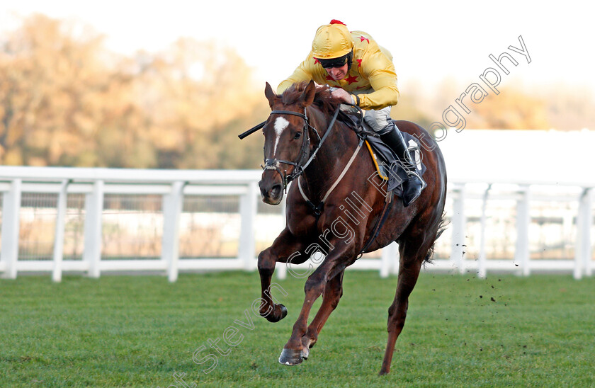 Count-Meribel-0004 
 COUNT MERIBEL (Mark Grant) wins The Mitie Events & Leisure Novices Hurdle Ascot 25 Nov 2017 - Pic Steven Cargill / Racingfotos.com