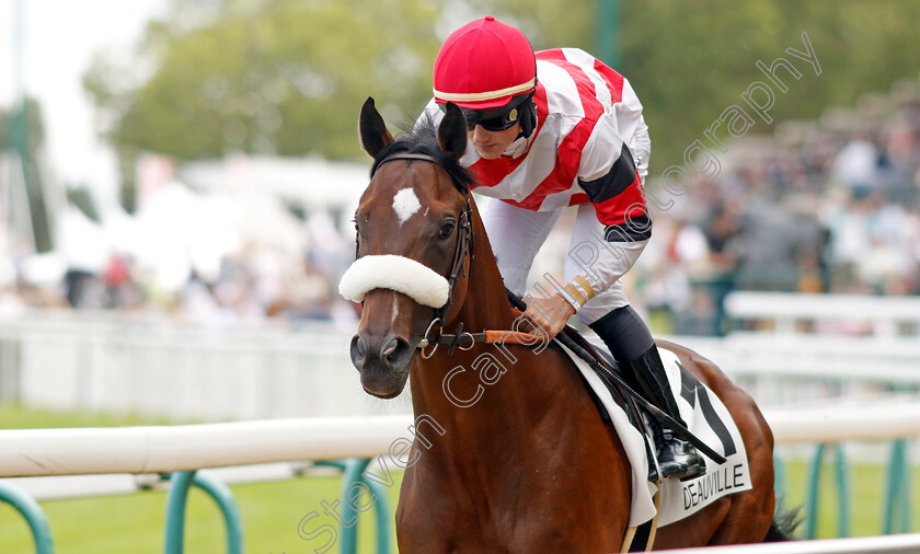 Merkur-0001 
 MERKUR (A Madamet)
Deauville 13 Aug 2023 - Pic Steven Cargill / Racingfotos.com