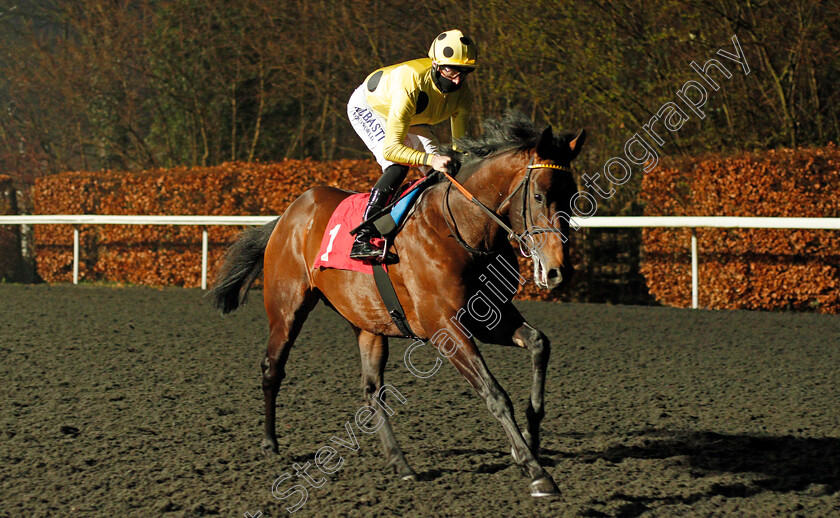 King-Triton-0001 
 KING TRITON (Jack Mitchell)
Kempton 3 Mar 2021 - Pic Steven Cargill / Racingfotos.com