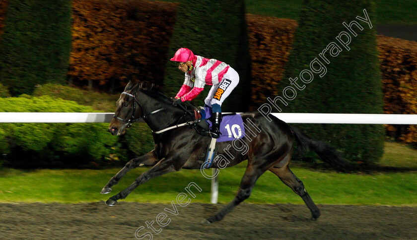 Entangling-0003 
 ENTANGLING (Silvestre De Sousa) wins The 32Red.com Handicap Kempton 22 Nov 2017 - Pic Steven Cargill / Racingfotos.com