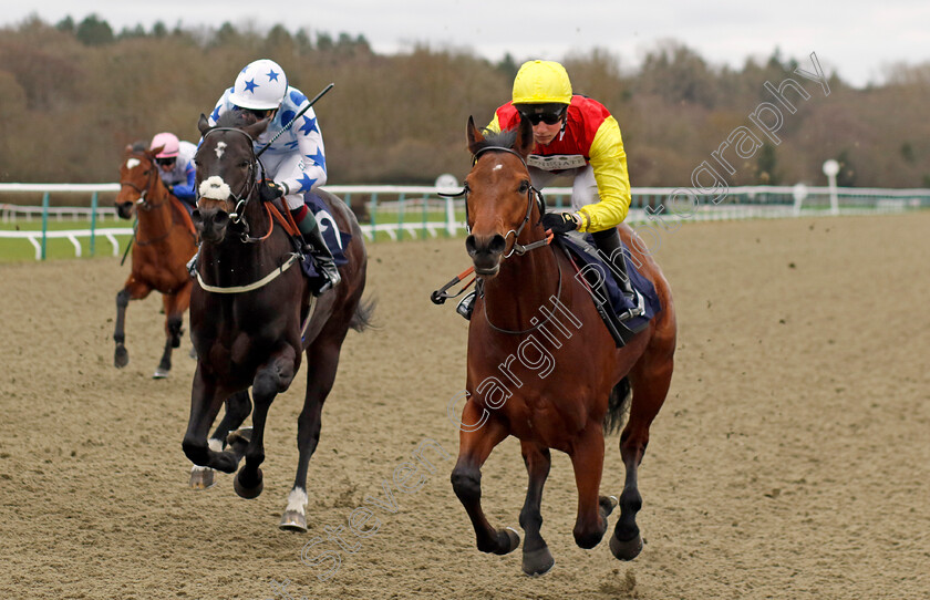 Kodiac-Thriller-0003 
 KODIAC THRILLER (William Cox) wins The BetMGM It's Showtime EBF Novice Stakes
Lingfield 23 Dec 2023 - Pic Steven Cargill / Racingfotos.com