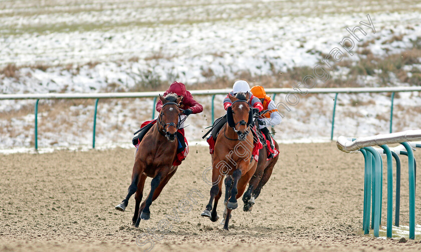 Twilight-Heir-0001 
 TWILIGHT HEIR (left, Cieren Fallon) beats CHARLIE FELLOWES (right) in The Get Your Ladbrokes Daily Odds Boost Handicap
Lingfield 13 Feb 2021 - Pic Steven Cargill / Racingfotos.com