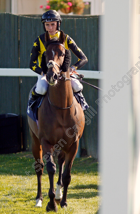 Blue-De-Vega-0001 
 BLUE DE VEGA (Rossa Ryan)
Yarmouth 18 Sep 2019 - Pic Steven Cargill / Racingfotos.com