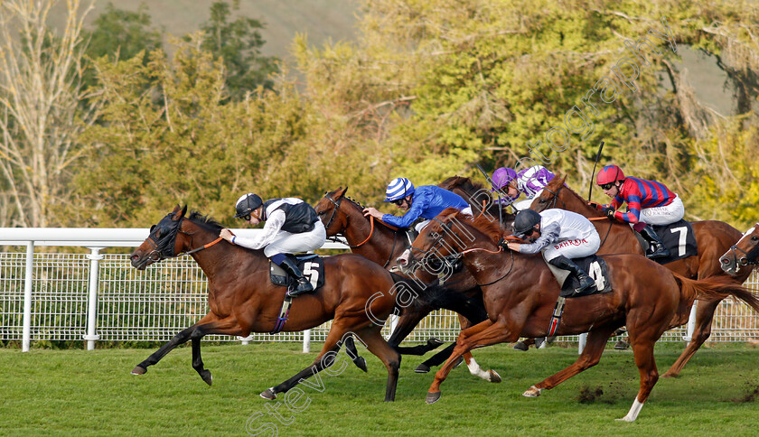 Victory-Chime-0007 
 VICTORY CHIME (Hector Crouch) beats TYSON FURY (right) in The Best of British Events Foundation Stakes
Goodwood 22 Sep 2021 - Pic Steven Cargill / Racingfotos.com