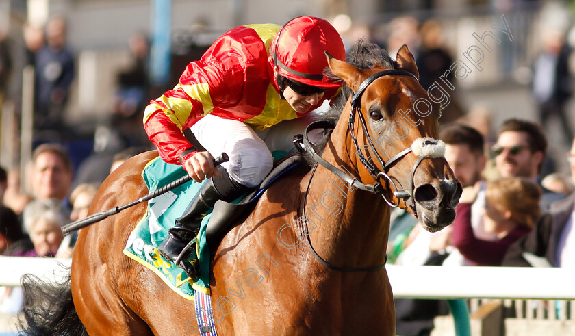 Iridessa-0009 
 IRIDESSA (Wayne Lordan) wins The bet365 Fillies Mile
Newmarket 12 Oct 2018 - Pic Steven Cargill / Racingfotos.com