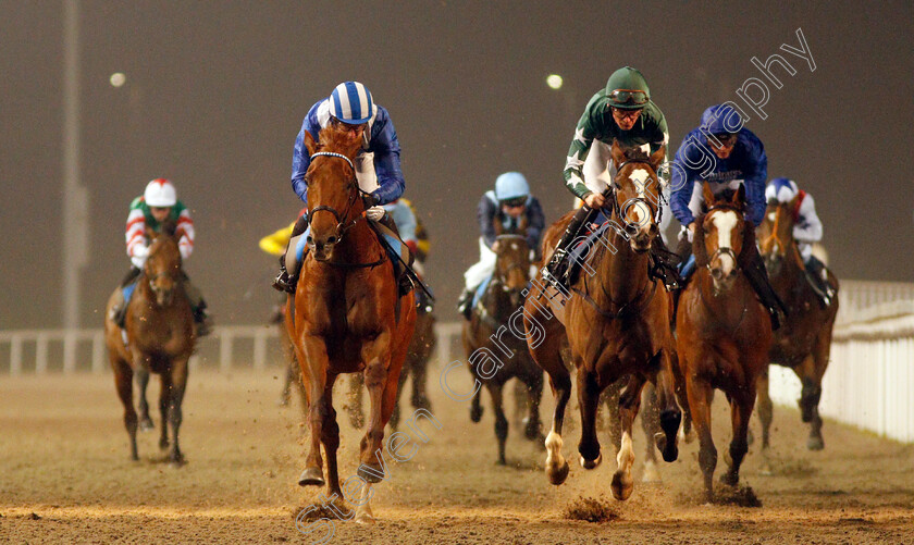 Montather-0003 
 MONTATHER (left, Jim Crowley) beats MAJESTIC NOOR (right) in The totepool Cashback Club At totesport.com Novice Stakes Div2
Chelmsford 25 Nov 2019 - Pic Steven Cargill / Racingfotos.com