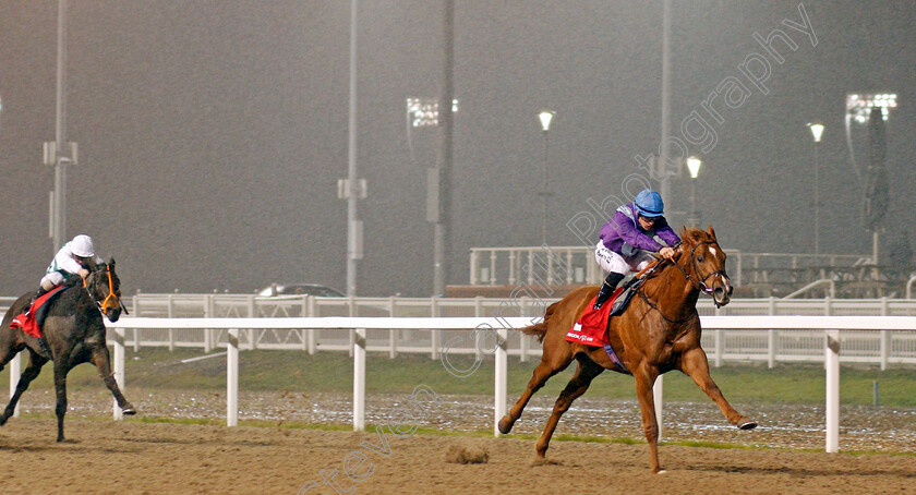 Great-Ambassador-0005 
 GREAT AMBASSADOR (Richard Kingscote) wins The Matchbook EBF Future Stayers Novice Stakes
Chelmsford 28 Nov 2019 - Pic Steven Cargill / Racingfotos.com