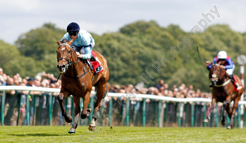 Believing-0004 
 BELIEVING (Daniel Tudhope) wins The Betfred Passionate About Sport Achilles Stakes
Haydock 8 Jun 2024 - Pic Steven Cargill / Racingfotos.com