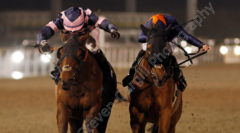 Dark-Pine-0005 
 DARK PINE (left, Rossa Ryan) beats ARIJ (right) in The chelmsfordcityracecourse.com Handicap
Chelmsford 14 Jan 2021 - Pic Steven Cargill / Racingfotos.com