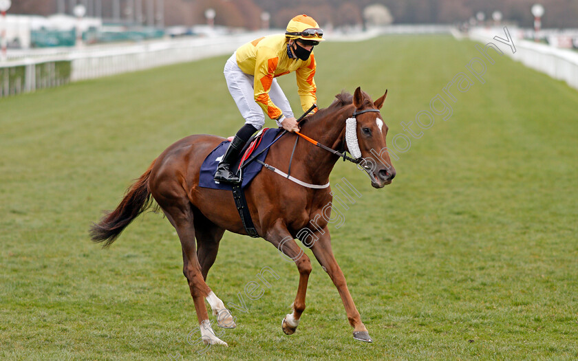 Iconic-Choice-0001 
 ICONIC CHOICE (Martin Harley)
Doncaster 28 Mar 2021 - Pic Steven Cargill / Racingfotos.com