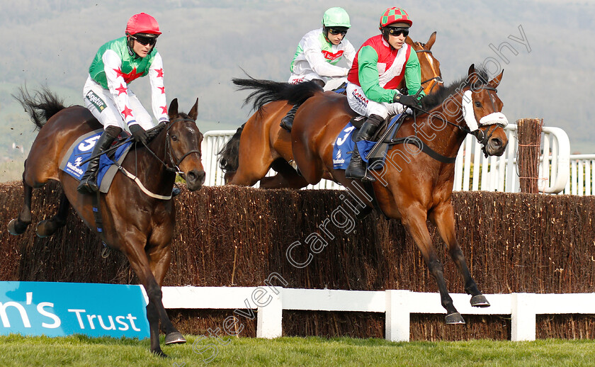 Cobra-De-Mai-0003 
 COBRA DE MAI (right, Harry Skelton) beats DAWSON CITY (left) in The Weatherite Handicap Chase
Cheltenham 17 Apr 2019 - Pic Steven Cargill / Racingfotos.com