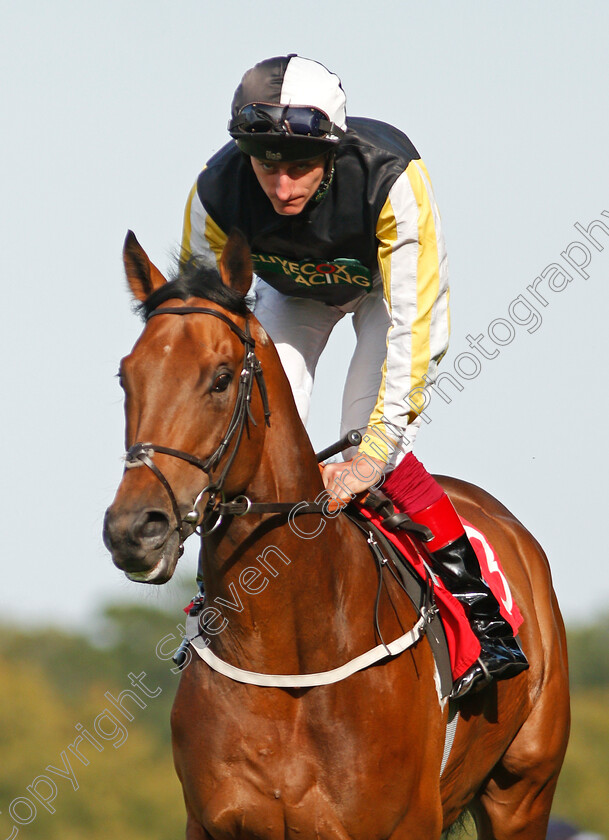 Dargel-0001 
 DARGEL (Adam Kirby)
Sandown 30 Aug 2019 - Pic Steven Cargill / Racingfotos.com