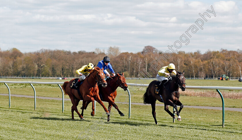 Mashhoor-0004 
 MASHHOOR (centre, Richard Kingscote) beats DUBAWI SANDS (left) and NOBLE PATRON (right) in The Mansionbet Bet 10 Get 20 Novice Stakes
Nottingham 7 Apr 2021 - Pic Steven Cargill / Racingfotos.com