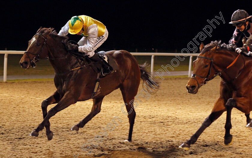 Pinnata-0003 
 PINNATA (Sean Levey) wins The totescoop6 The Millionaire Maker Handicap Chelmsford 16 Nov 2017 - Pic Steven Cargill / Racingfotos.com