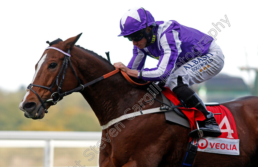 Shady-McCoy-0006 
 SHADY MCCOY (Ryan Moore) wins The Veolia Handicap Ascot 6 Oct 2017 - Pic Steven Cargill / Racingfotos.com