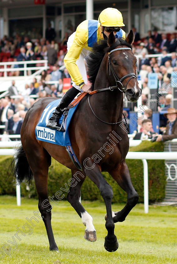 Young-Rascal-0001 
 YOUNG RASCAL (James Doyle) winner of The Centennial Celebration MBNA Chester Vase
Chester 9 May 2018 - Pic Steven Cargill / Racingfotos.com