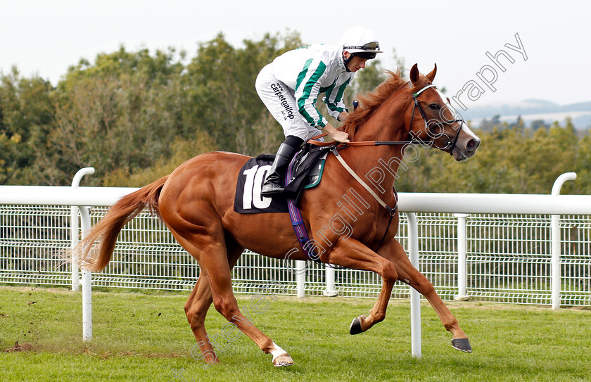 Tzar-Nicholas-0001 
 TZAR NICHOLAS (Edward Greatrex)
Goodwood 4 Sep 2018 - Pic Steven Cargill / Racingfotos.com