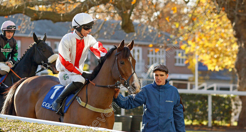 Goshen-0001 
 GOSHEN (Niall Houlihan)
Warwick 22 Nov 2023 - Pic Steven Cargill / Racingfotos.com