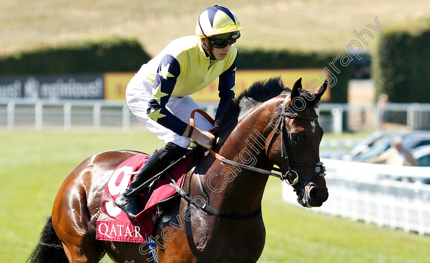 Sporting-Chance-0001 
 SPORTING CHANCE (James Doyle)
Goodwood 2 Aug 2018 - Pic Steven Cargill / Racingfotos.com