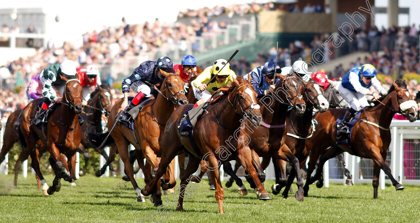 Cape-Byron-0002 
 CAPE BYRON (Andrea Atzeni) wins The Wokingham Stakes
Royal Ascot 22 Jun 2019 - Pic Steven Cargill / Racingfotos.com