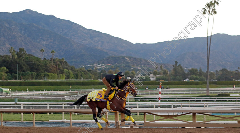 Ushba-Tesoro-0003 
 USHBA TESORO training for The Breeders' Cup Classic
Santa Anita USA, 31 October 2023 - Pic Steven Cargill / Racingfotos.com