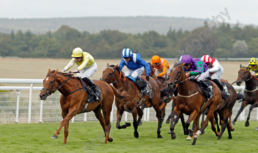 Choisya-0005 
 CHOISYA (Jack Mitchell) wins The Coral Fillies Handicap
Goodwood 1 Aug 2023 - Pic Steven Cargill / Racingfotos.com