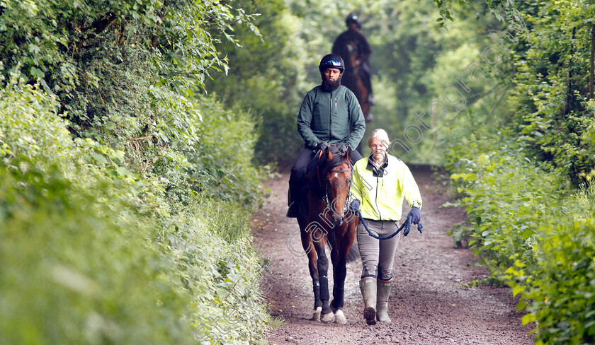 Knight-To-Behold-0012 
 KNIGHT TO BEHOLD, ridden by Mohammed Abdul Qazafi Mirza, walking home from the gallops with Christina Dunlop in preparation for The Investec Derby
Lambourn 31 May 2018 - Pic Steven Cargill / Racingfotos.com