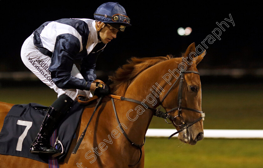 Never-Let-Go-0005 
 NEVER LET GO (George Downing) winner of The Betmgm Irish EBF Fillies Novice Stakes Div1
Wolverhampton 20 Dec 2024 - Pic Steven Cargill / Racingfotos.com