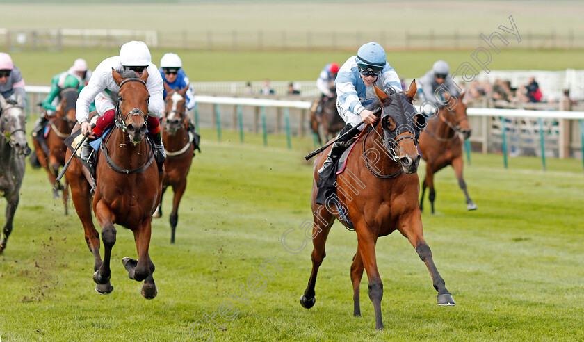 Chamade-0002 
 CHAMADE (right, Richard Kingscote) beats MOSTLY (left) in The Allicare Fillies Novice Median Auction Stakes
Newmarket 23 Oct 2019 - Pic Steven Cargill / Racingfotos.com